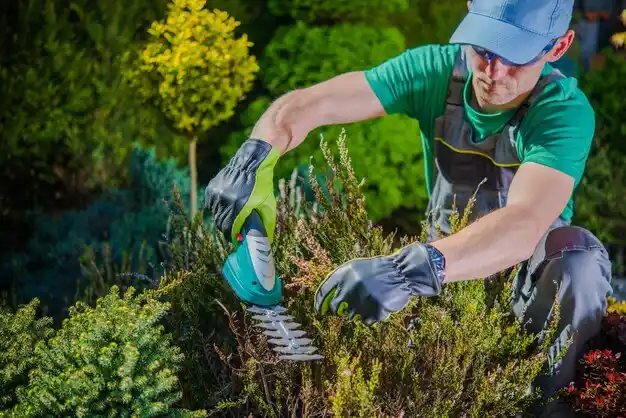 landscaping services Napoleonville